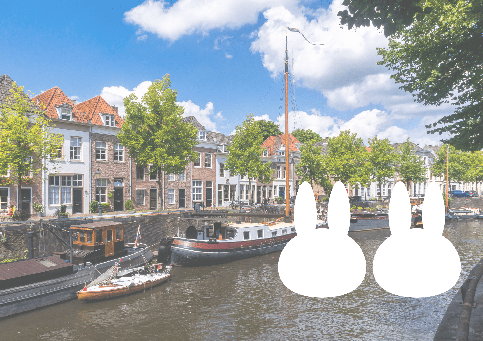 かわいいだけではない魅力