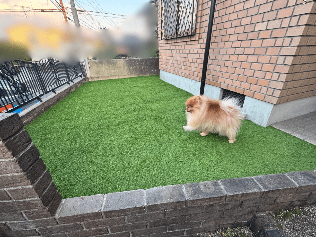 京都府京田辺市　M様　防草シート、人工芝貼り工事