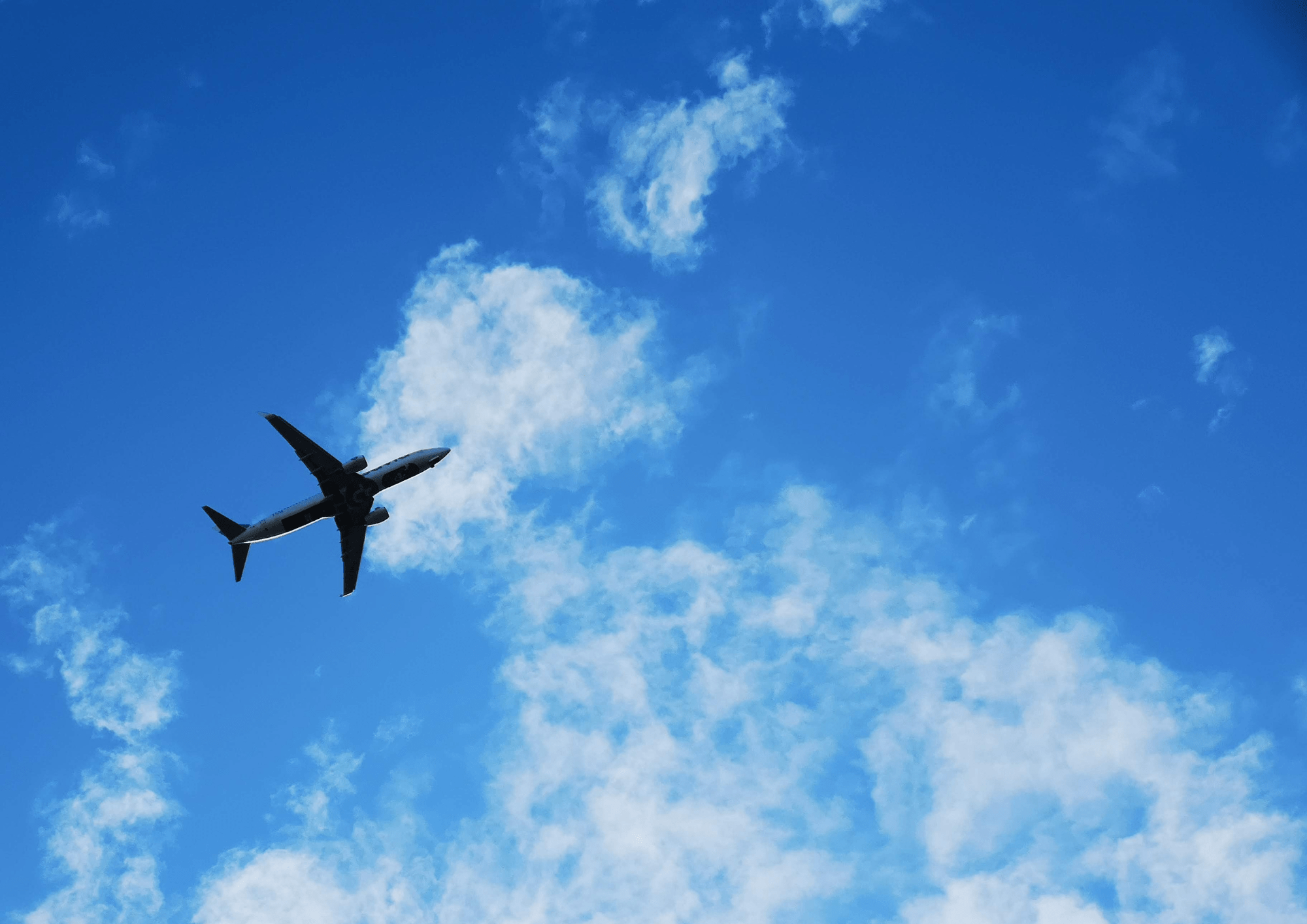 空港の書店にあった答え