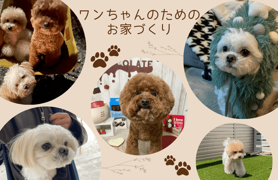 ワンちゃんと共に笑顔になれる住まいづくりしませんか？